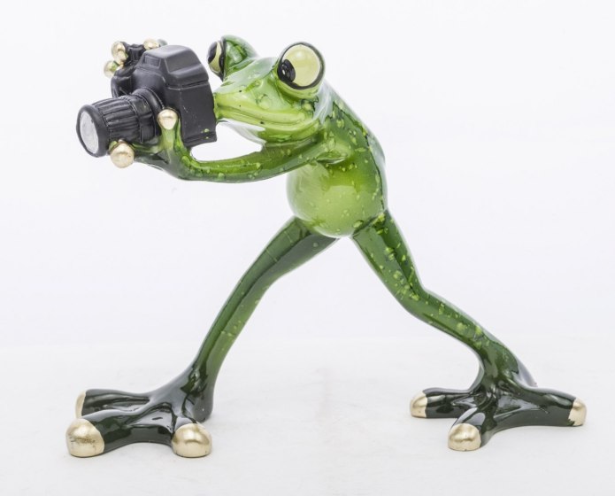 Figurka ozdoba żaba fotoreporter